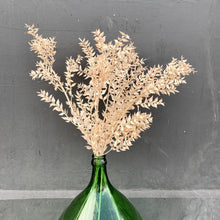 Load image into Gallery viewer, Dried Ruscus - Apricot