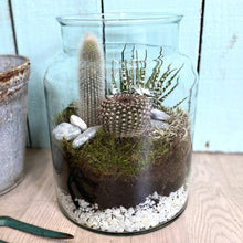 Load image into Gallery viewer, Howey Terrarium