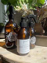 Load image into Gallery viewer, House Plant Glass Mister