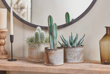 Load image into Gallery viewer, Abari Aged Zinc Straight Plant Pot