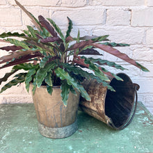 Load image into Gallery viewer, Recycled Iron Buckets - Large