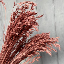 Load image into Gallery viewer, Dried Broom