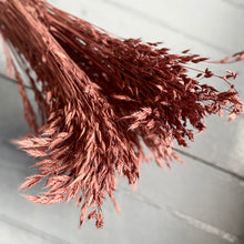 Load image into Gallery viewer, Dried Broom