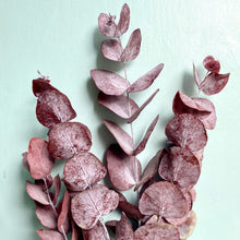 Load image into Gallery viewer, Dried Eucalyptus - Plum
