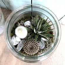 Load image into Gallery viewer, Howey Terrarium