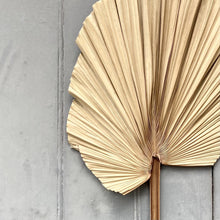 Load image into Gallery viewer, Dried Giant Washington Palm