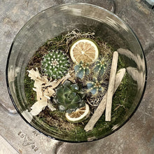 Load image into Gallery viewer, Hattie Terrarium