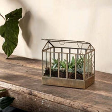 Load image into Gallery viewer, Hart Terrarium - Wide