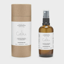 Load image into Gallery viewer, Calm Room Spray 60ml
