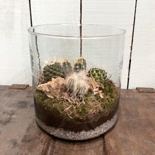 Load image into Gallery viewer, Hattie Terrarium
