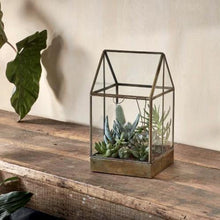 Load image into Gallery viewer, Duke Terrarium - Tall