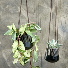 Load image into Gallery viewer, Kavari Ceramic Hanging Planter