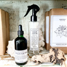 Load image into Gallery viewer, Natural Plant Food & Atomiser Set - Succulents