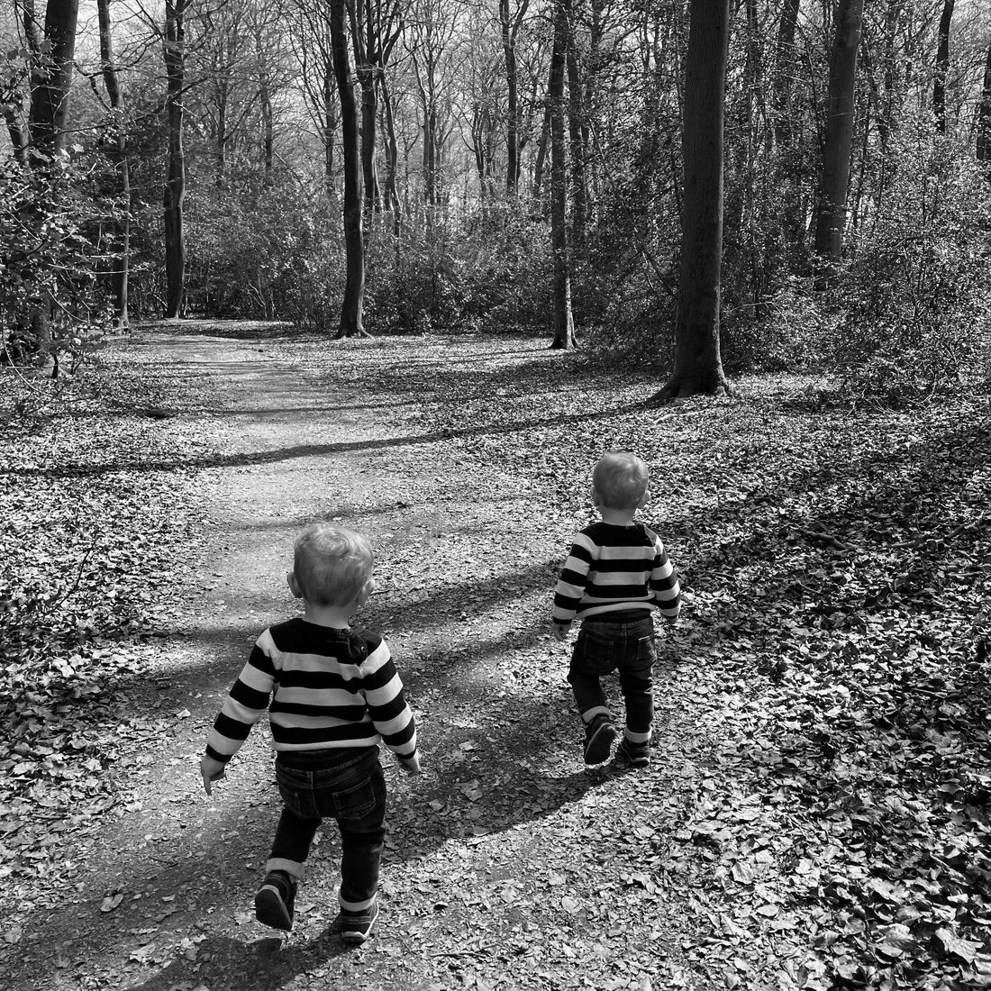 Wild & Rust’s twin mascots celebrating bluebells and fresh air living