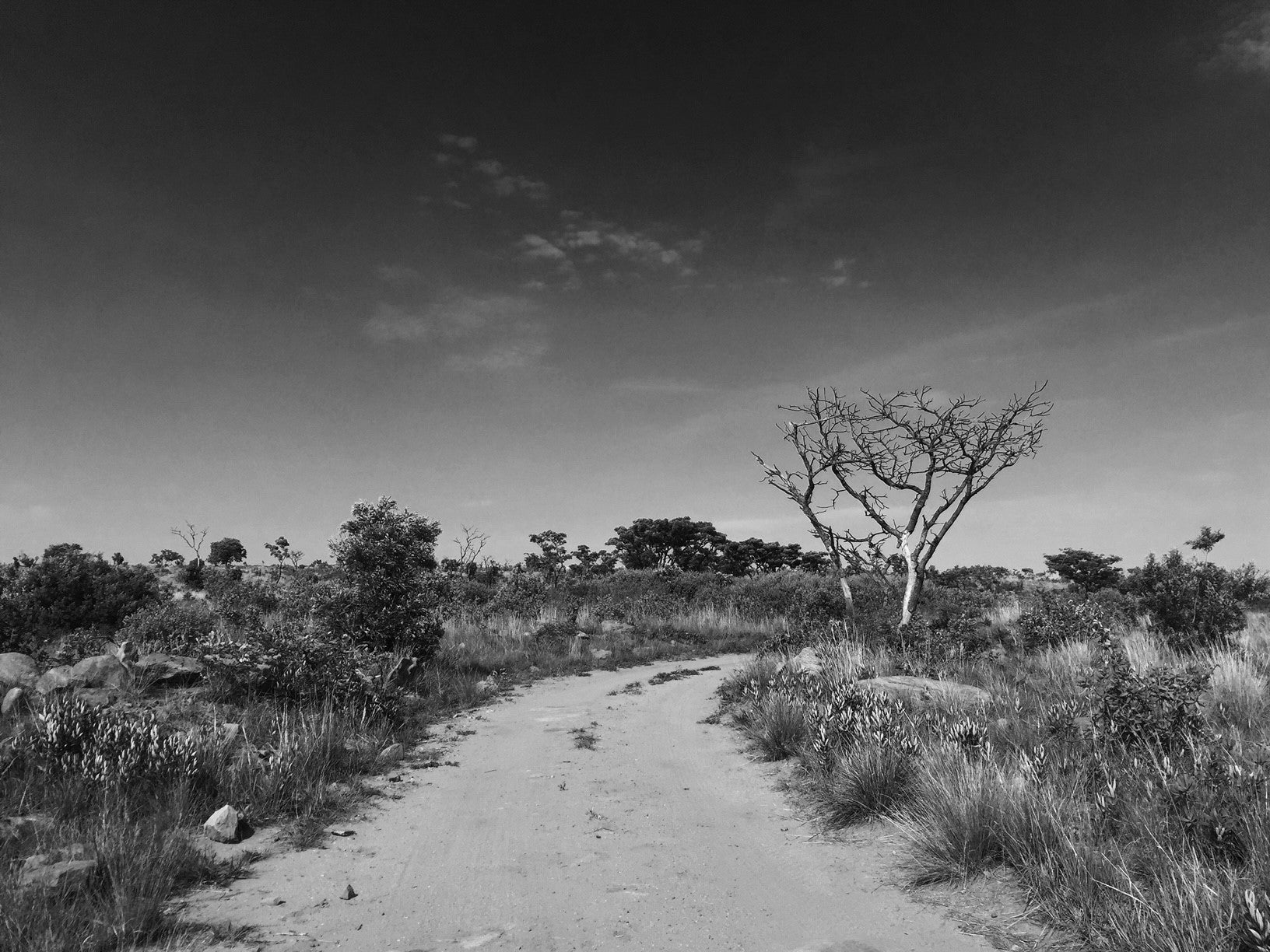 All Natural Male Grooming & Skincare