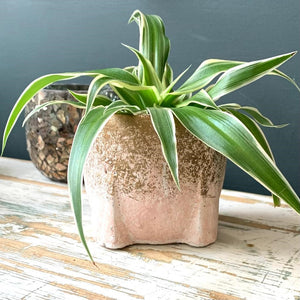 Amira Pink Cement Pot square base - XS