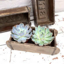 Load image into Gallery viewer, Indian Brick Moulds
