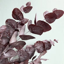 Load image into Gallery viewer, Dried Eucalyptus - Plum
