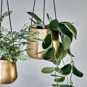 Atsu Brass Hanging Planter