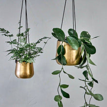 Load image into Gallery viewer, Atsu Brass Hanging Planter
