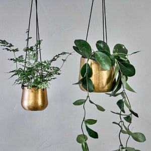 Atsu Brass Hanging Planter