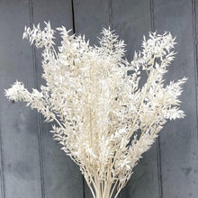 Load image into Gallery viewer, Dried Ruscus Ivory - single stem

