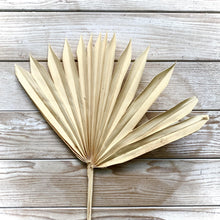 Load image into Gallery viewer, Dried Palm - Apricot (50cm)
