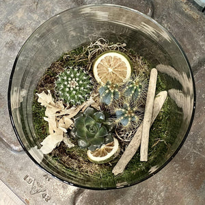 Hattie Terrarium