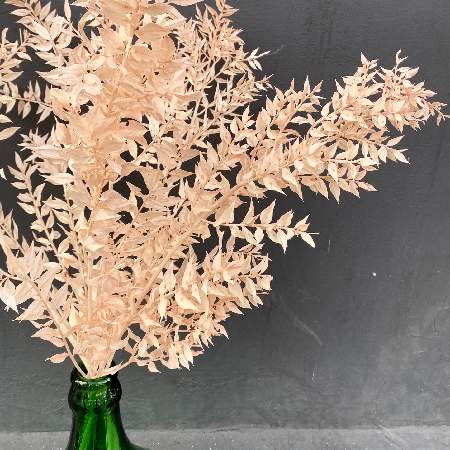 Dried Ruscus - Apricot