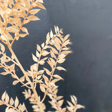 Load image into Gallery viewer, Dried Ruscus - Apricot

