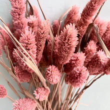 Load image into Gallery viewer, Dried Phalaris - Coral
