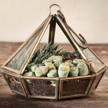 Load image into Gallery viewer, Bell Hanging Terrarium - Small
