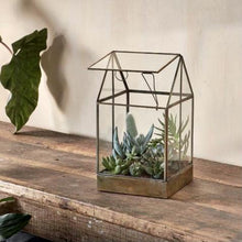Load image into Gallery viewer, Duke Terrarium - Tall
