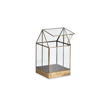 Load image into Gallery viewer, Duke Terrarium - Tall
