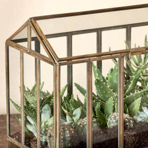 Hart Terrarium - Wide