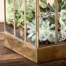 Load image into Gallery viewer, Hart Terrarium - Wide
