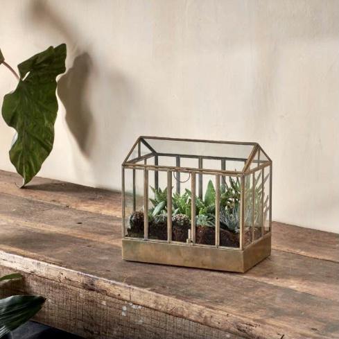 Hart Terrarium - Wide
