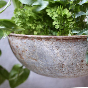 Amari Round Hanging Planter